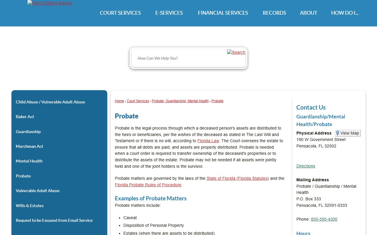 Escambia County Clerk of Court traffic citation page